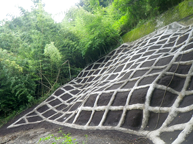 株式会社ライジングシビル簡易法枠吹付工