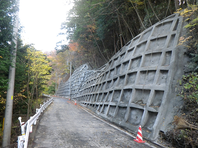 株式会社ライジングシビル法枠工